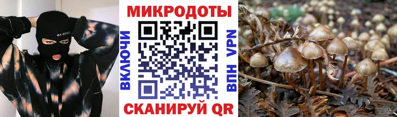kraken маркетплейс  Питкяранта  Галлюциногенные грибы Psilocybe 